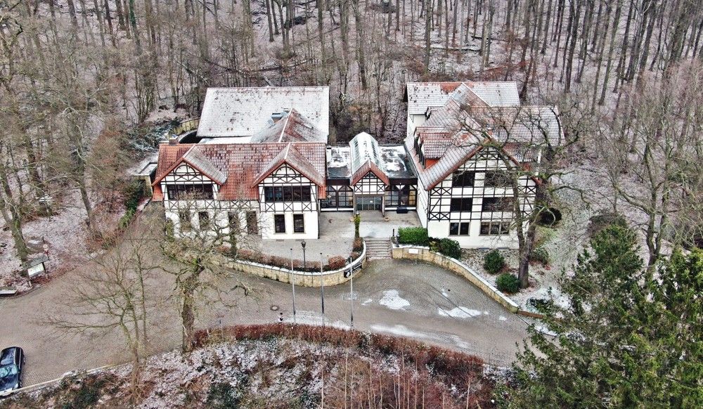 Waldkater (59)