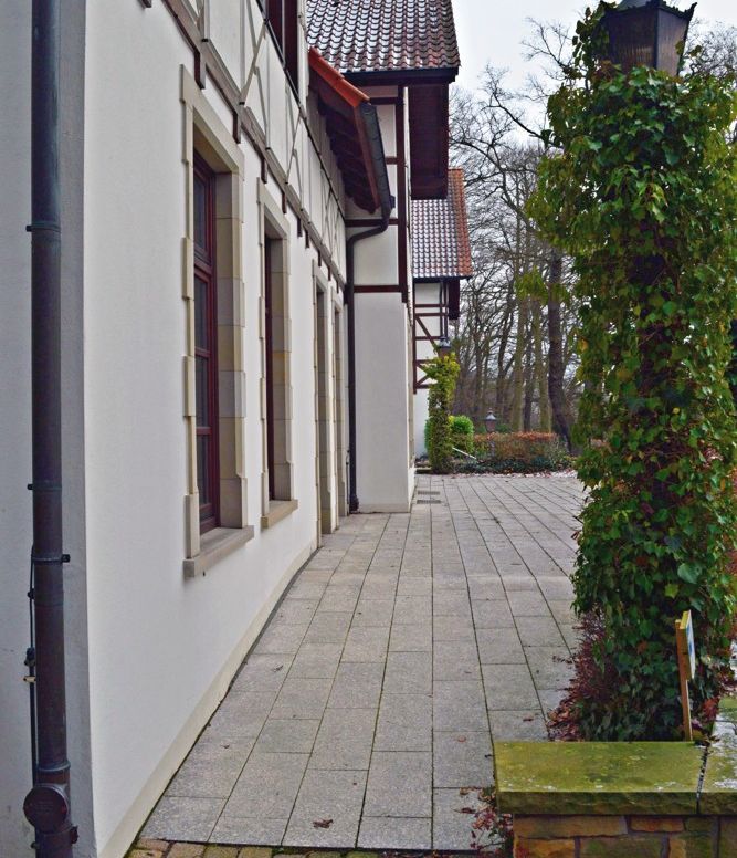 Waldkater (99)