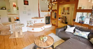 von_poll_real_estate_property_25216016_image_15