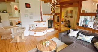 von_poll_real_estate_property_25216016_image_15