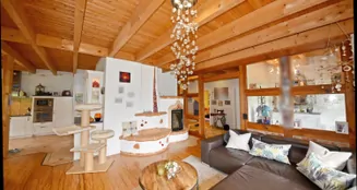 von_poll_real_estate_property_25216016_image_16