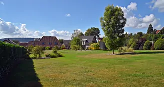 von_poll_real_estate_property_25216016_image_50