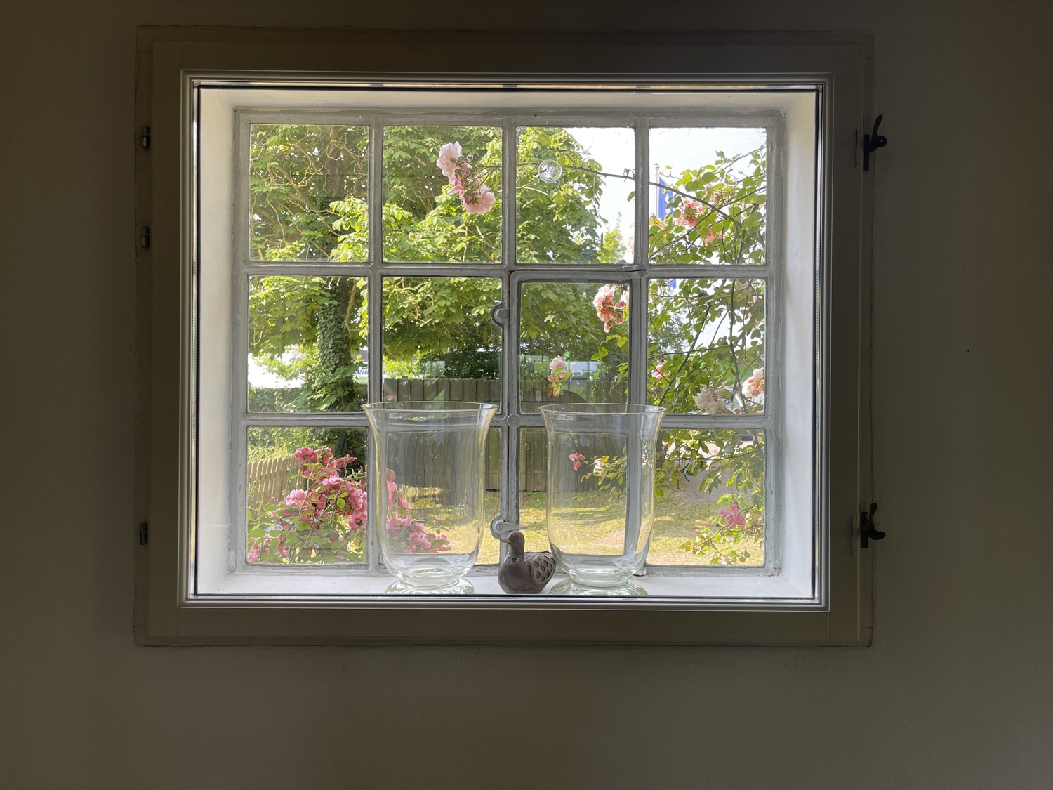 WE3 Fenster