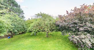 von_poll_real_estate_property_23270024_image_19