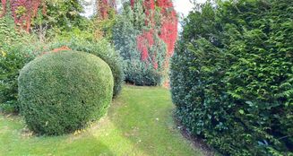 von_poll_real_estate_property_24270024_image_8