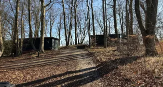 von_poll_real_estate_property_25270005_image_6