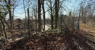 von_poll_real_estate_property_25270005_image_4