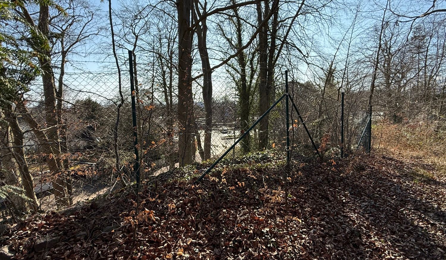 Wald