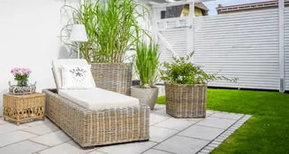 von_poll_real_estate_property_25270009_image_22