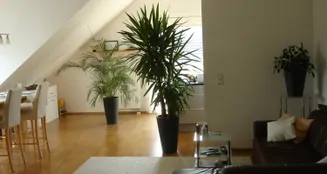 von_poll_real_estate_property_25168008_image_7