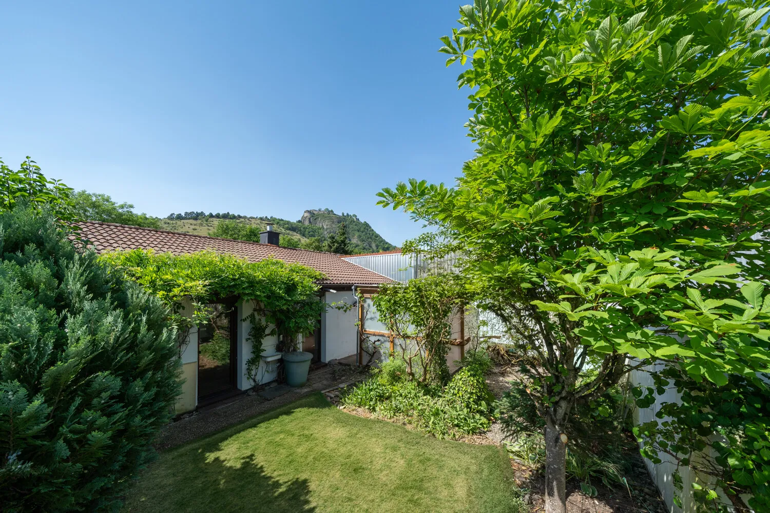 Hohentwielblick vom Garten