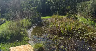 von_poll_real_estate_property_25249014_image_19