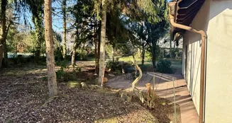 von_poll_real_estate_property_25249011_image_5