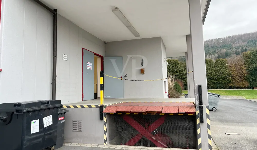 Hydraulische Laderampe