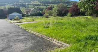 von_poll_real_estate_property_25249007HLP_image_3