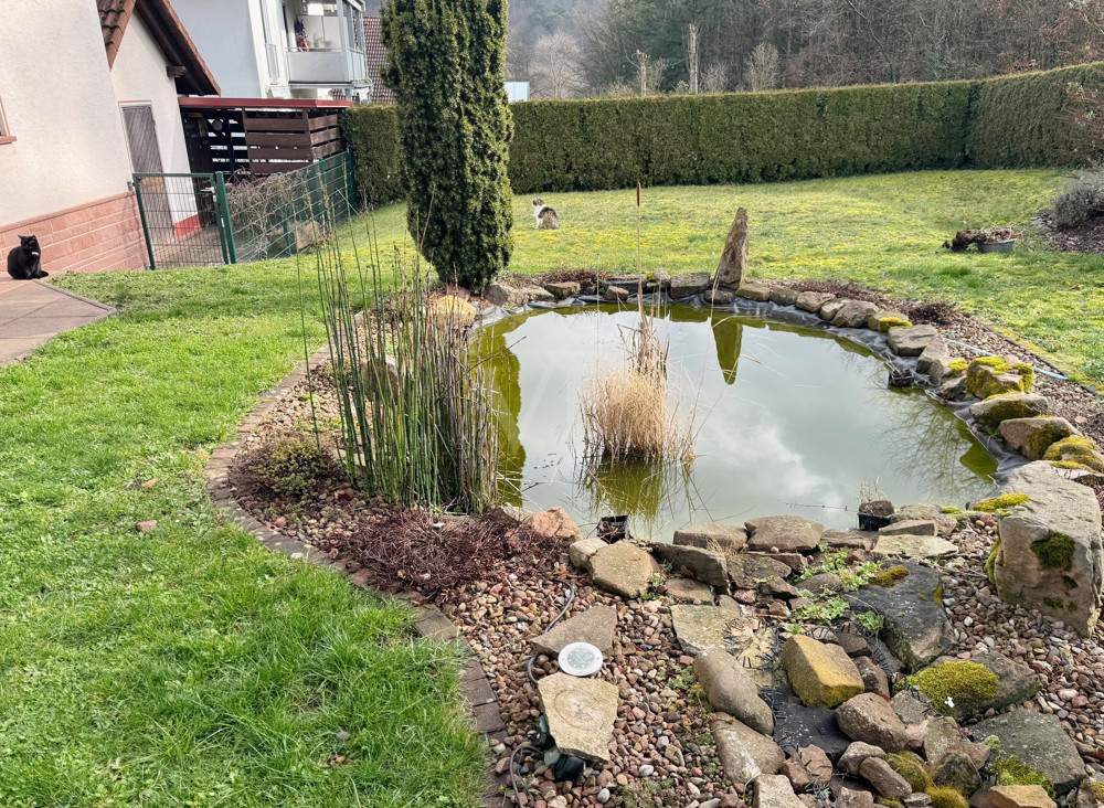 Ansicht Garten mit Teich