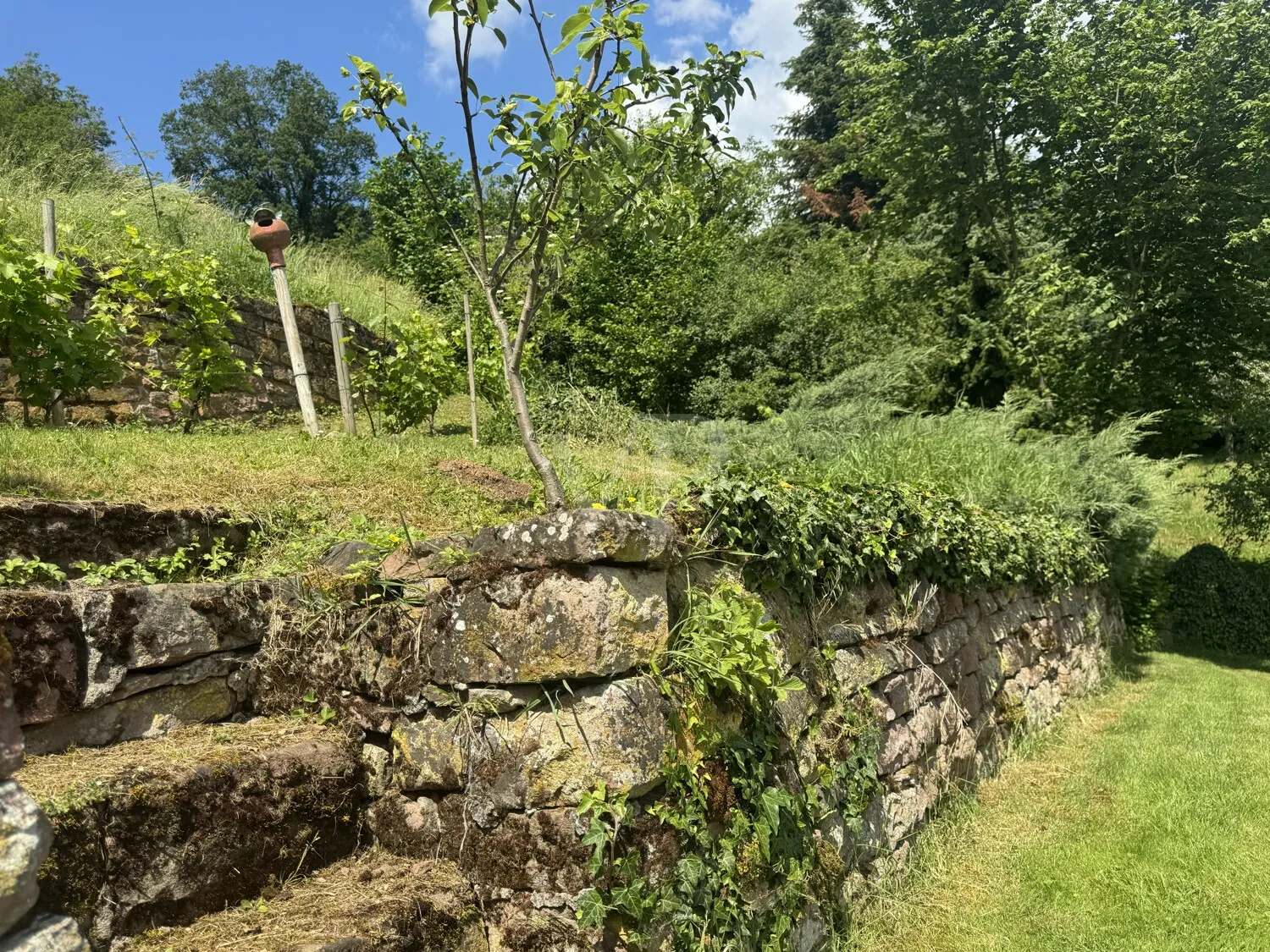Natursteinmauern