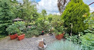 von_poll_real_estate_property_25155005_image_10