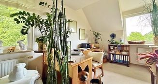 von_poll_real_estate_property_25155005_image_6