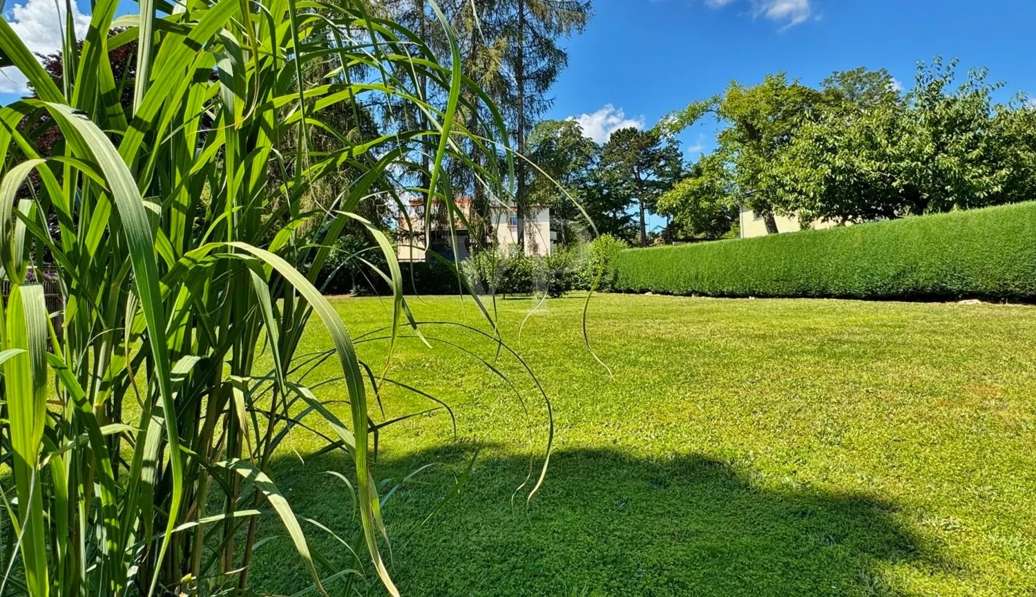 unbebautes Grundstück