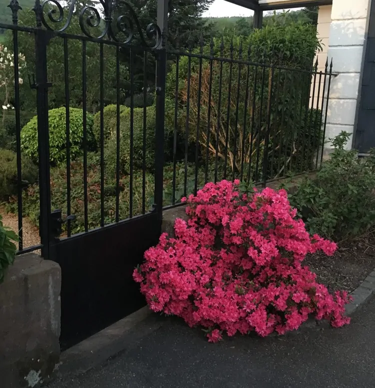 Herrschaftliche Villa