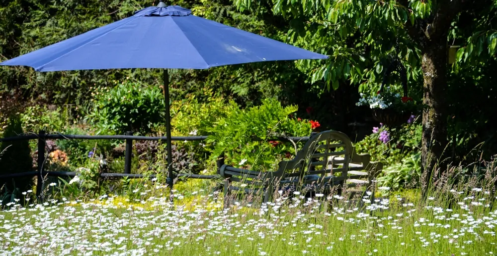 A Dream Comes True - At the Doors of Basel