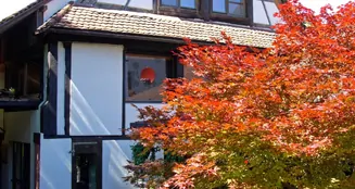 von_poll_real_estate_property_CH00512_image_5