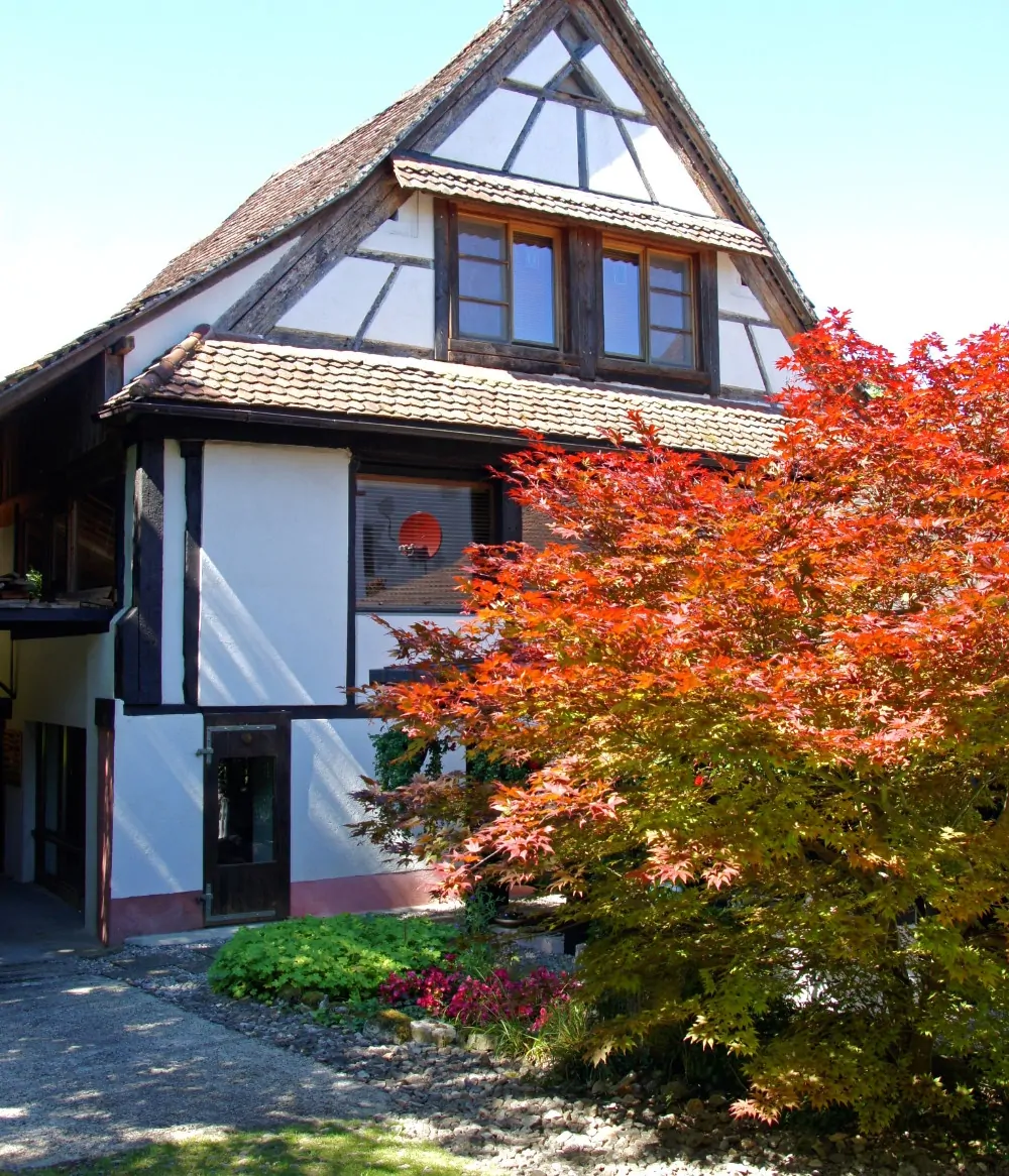 A Dream Comes True - At the Doors of Basel