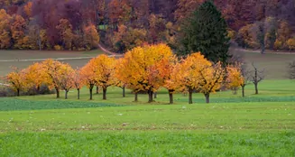 von_poll_real_estate_property_CH23236053_image_1