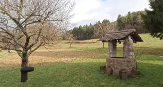 von_poll_real_estate_property_CH24236054_image_15