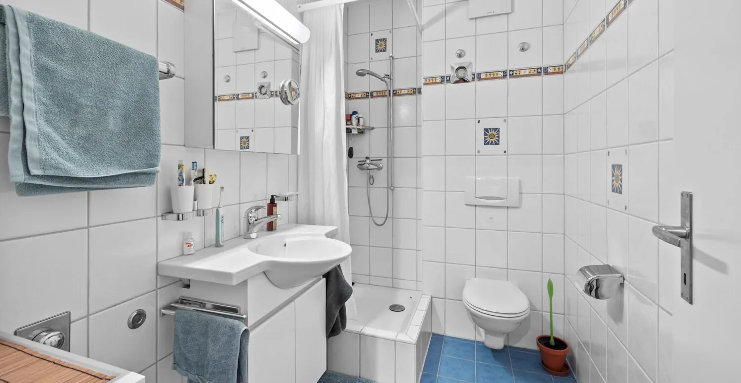 Hegenheimerstrasse 171, 4055 Basel_05