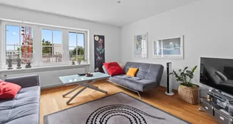 von_poll_real_estate_property_CH25236060_image_4