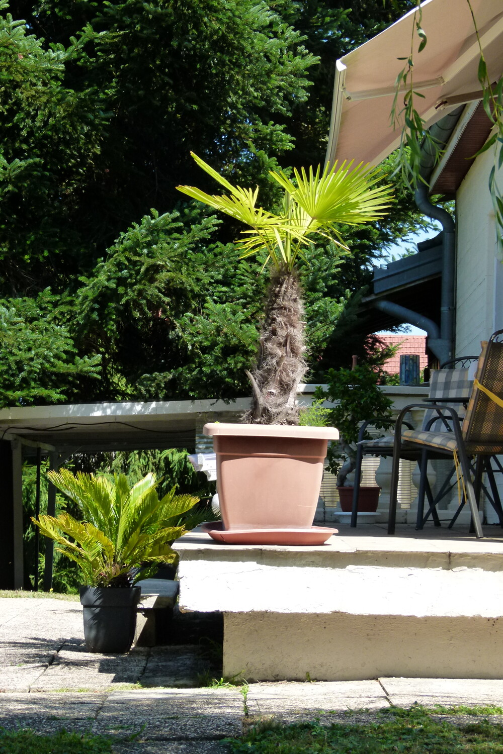 Tolles Haus an toller Lage / Haute-Saône