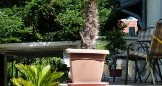 von_poll_real_estate_property_CH25236059_image_22