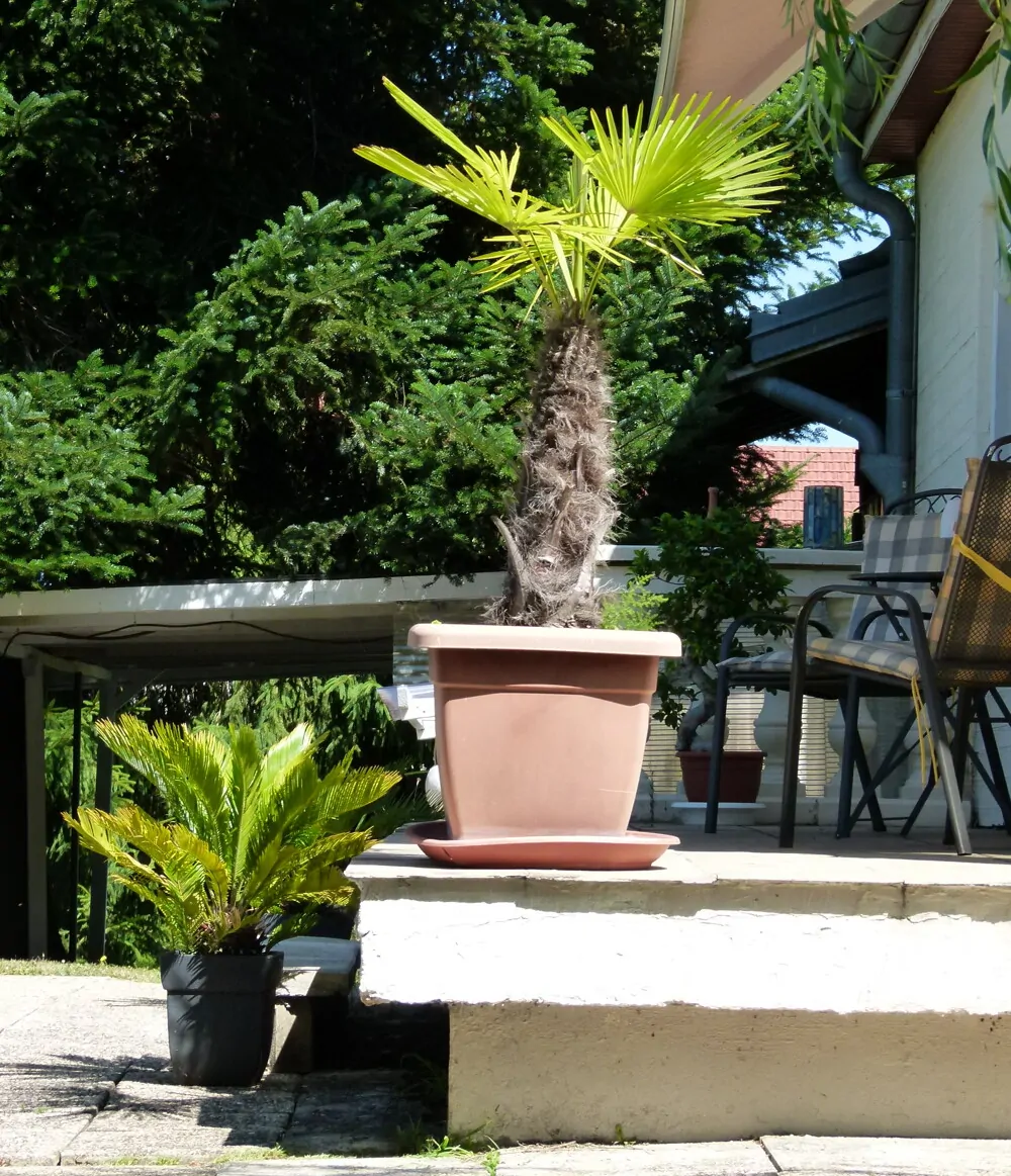 Tolles Haus an toller Lage / Haute-Saône