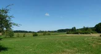 von_poll_real_estate_property_CH25236059_image_21