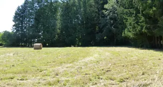 von_poll_real_estate_property_CH25236059_image_20