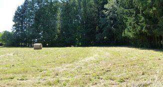 von_poll_real_estate_property_CH25236059_image_20