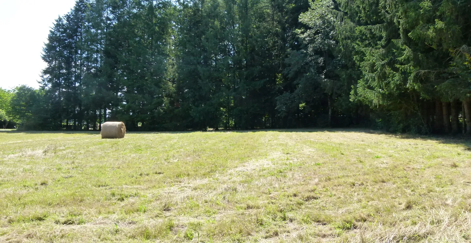 Tolles Haus an toller Lage / Haute-Saône