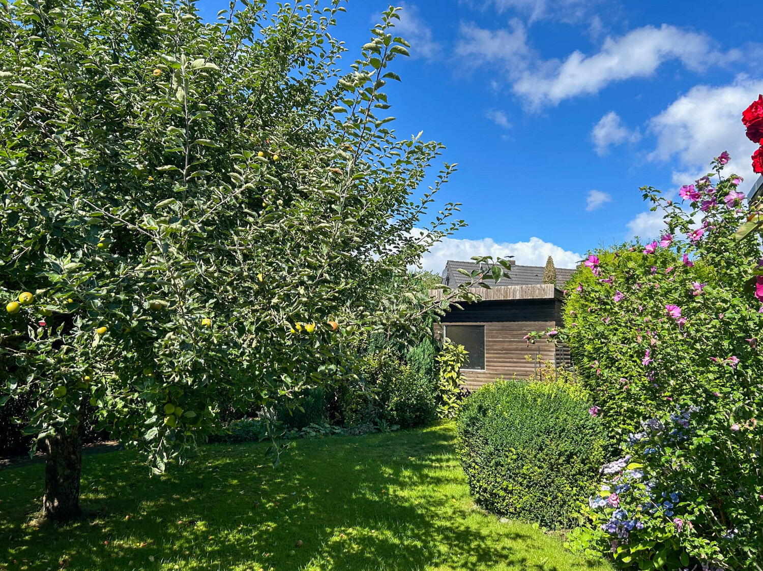 Garten & Gartenhaus