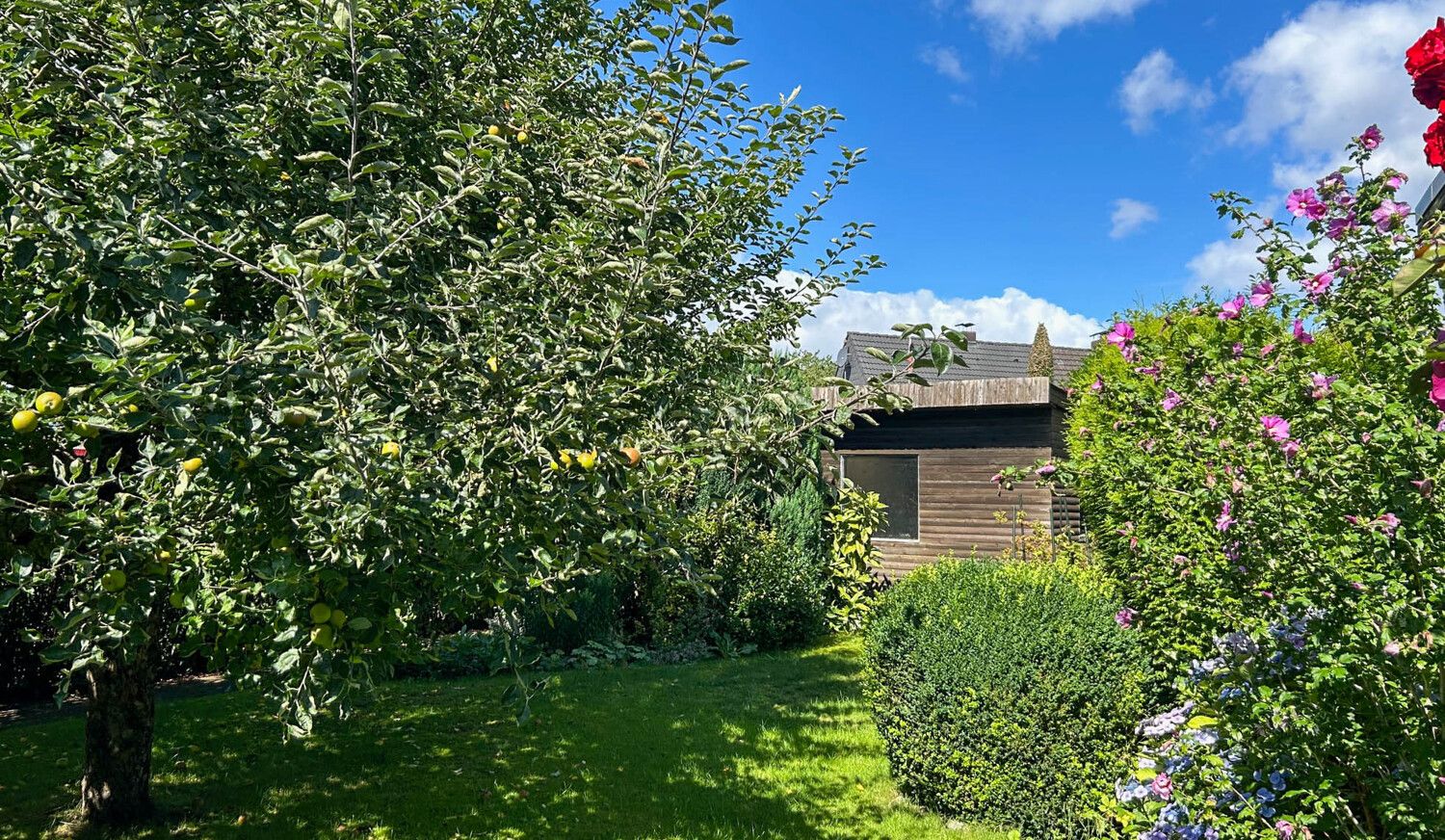 Garten & Gartenhaus