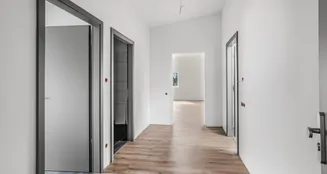 von_poll_real_estate_property_25053042_image_19