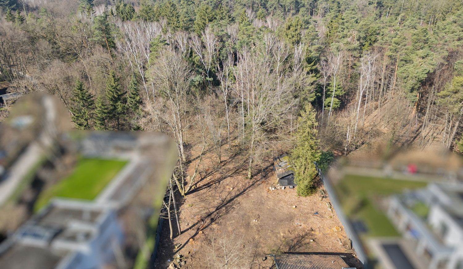 Grundstück mit Waldgrenze