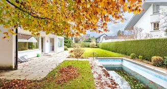 von_poll_real_estate_property_24225056_image_8