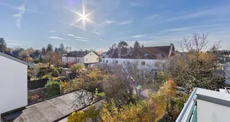 von_poll_real_estate_property_25225056_image_3