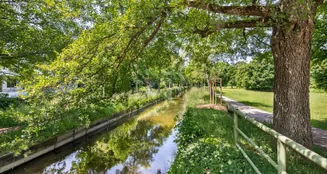 von_poll_real_estate_property_26225013_image_8