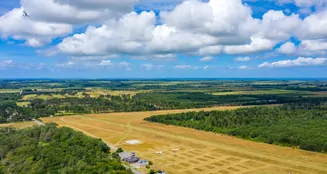 von_poll_real_estate_property_22253009_image_18