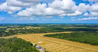 von_poll_real_estate_property_25253004_image_13