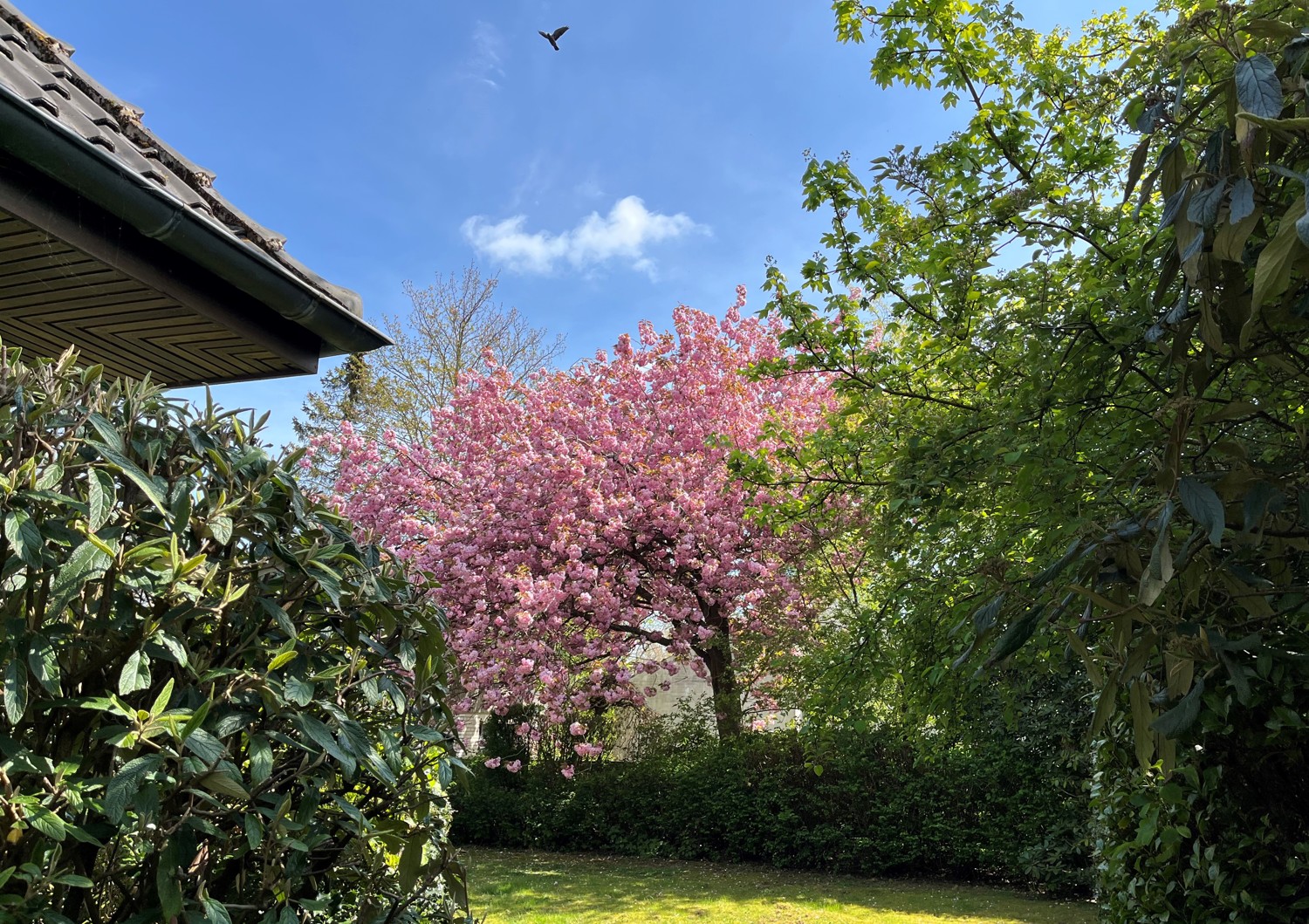 Walmdach-Villa in begehrter Wohnlage