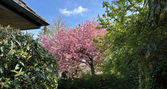 von_poll_real_estate_property_25253007_image_6